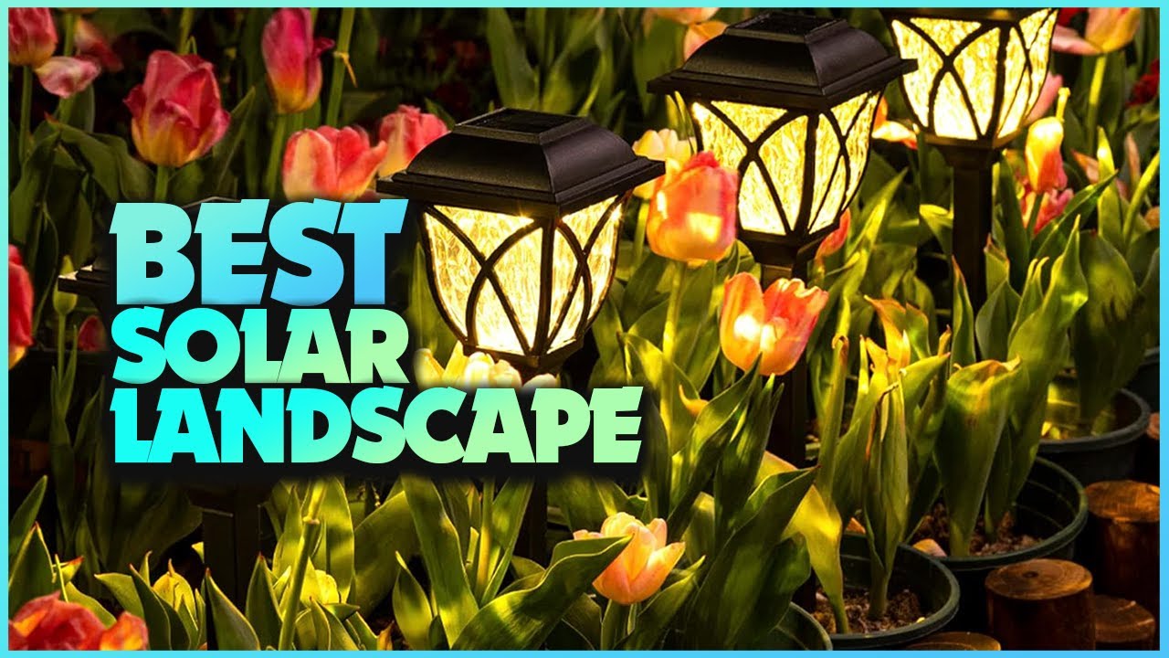 Top 5 Solar Landscape Lighting Ideas for Every Yard
