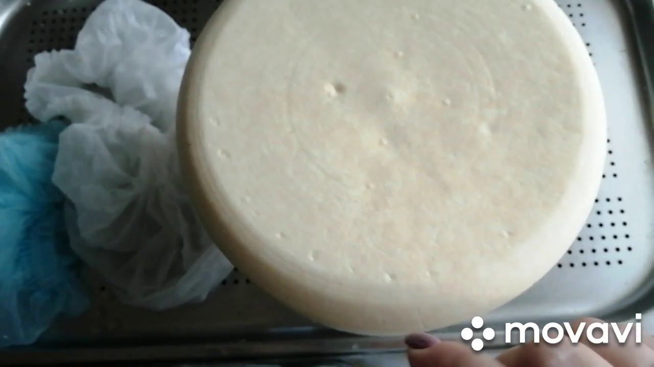 его величество "ТОММ"