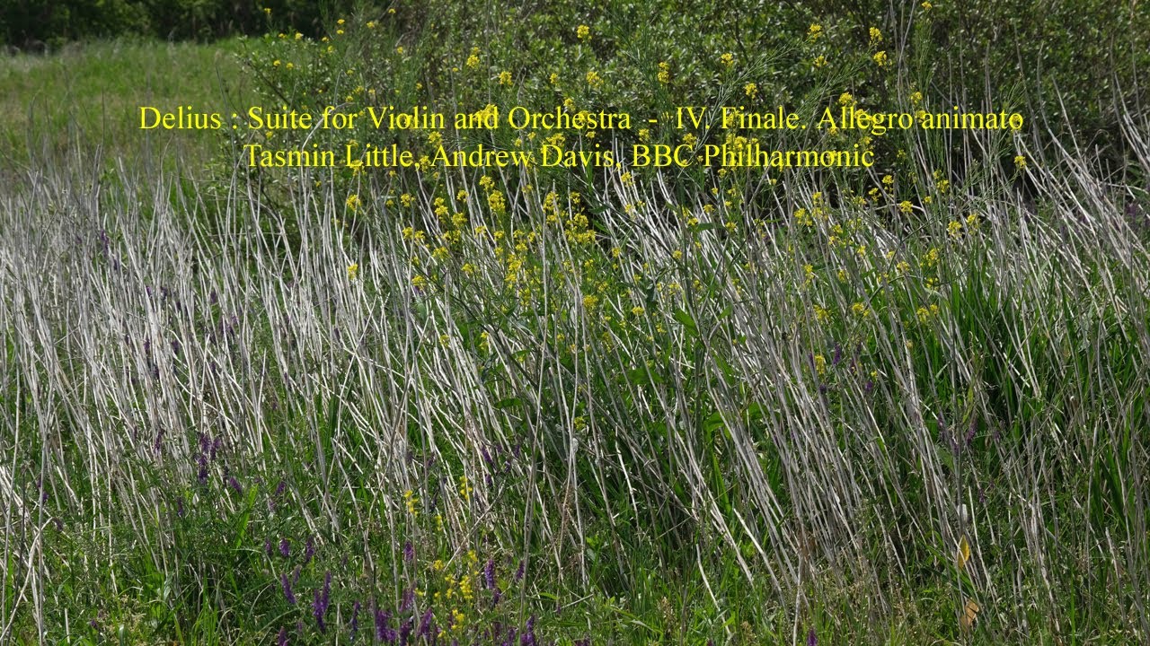 Watch Delius : Suite for Violin and Orchestra - IV. Finale. Allegro animato on YouTube Watch Delius : Suite for Violin and Orchestra - IV. Finale. Allegro animato on YouTube