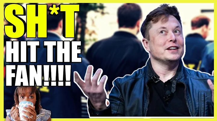 Elon Musk QUESTIONS Twitter Ownership & Shellenber...