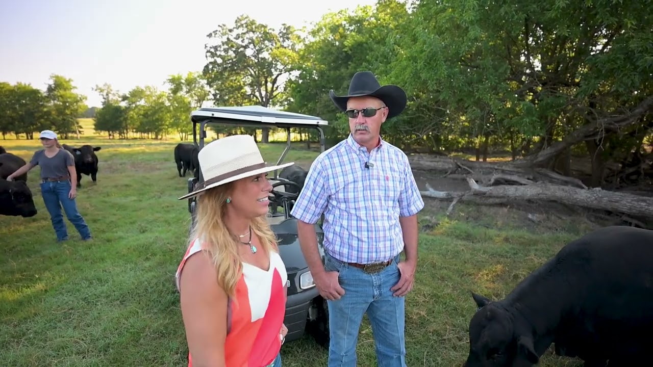 Whats the secret behind Albrecht Angus Ranch's Legendary Bulls?