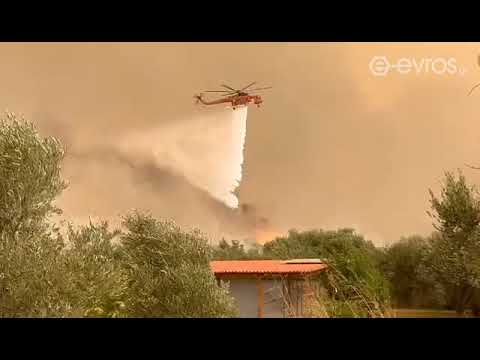 (18:20) Τα μέτωπα κοντά στο ελαιοτριβείο "Αλέξανδρος" φαίνεται να έχουν τεθεί υπό έλεγχο