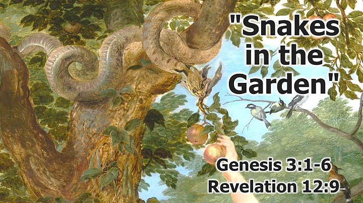 Live Streaming - Rev. Stephanie Cowart - Snakes in...