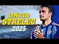 مهارات واهداف ديفيد ستريليك لاعب سلوفان براتيسلافا 2025  