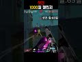 샷건 1000킬 챌린지 7일차