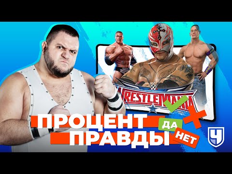 Процент правды: мемы, травмы, драки с судьями и песок в глаза. Что с играми про реслинг? | Чемп.PLAY