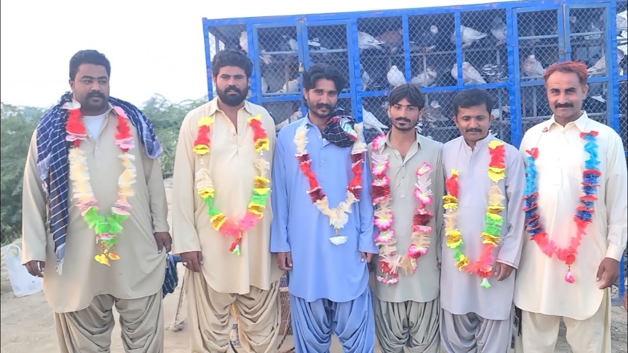 Aj To Ulti Jaga Pr Barbadi Ho Gye Atni Sari Pakar Sir Gar  Pr Kabotar wapsi bhe nhi krny Zid Bzi