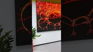 All-in-one display