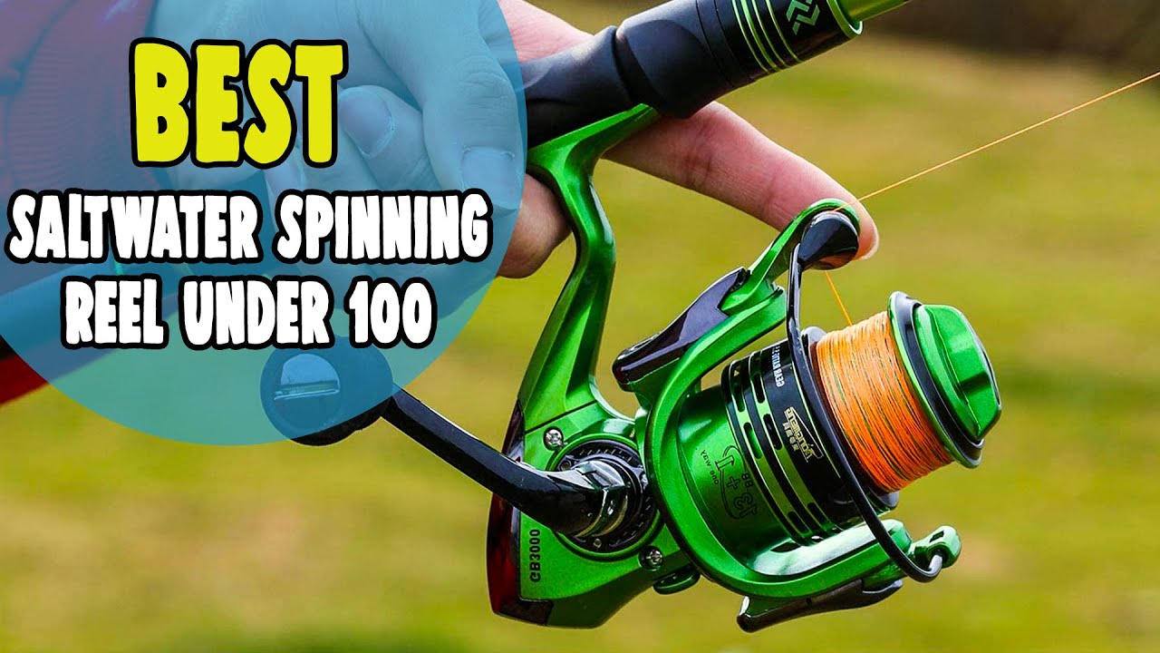 RECESSION Reel: SHOCKING Ozark Trail Saltwater Spinning Reel 