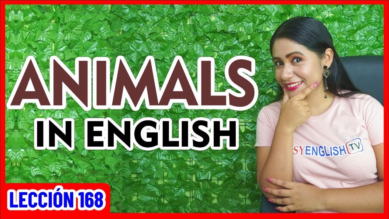 ANIMALES en Inglés 🐮🐵🐶 Te Enseño a PRONUNCIAR ✅ INGLÉS CHÉVERE 168 😎