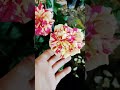 ورد جوري مشطب