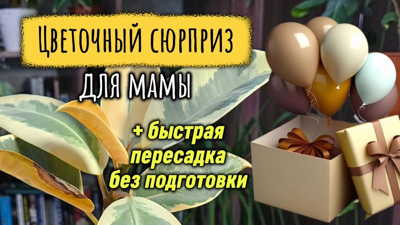 Цветочный сюрприз для мамы