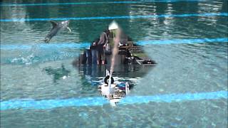 Kxviii In Gossau Treffen.wmv