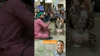 चपरासी कहते ही बंदर लड़ पड़ा #shortfeeds #wildanimal #trending #youtubeshorts #monkeygameplay