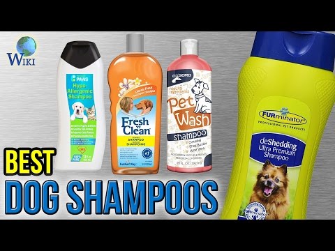 10-best-dog-shampoos-2017
