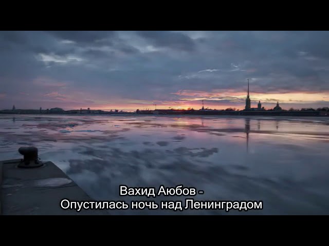 Опустилась ночь над ленинградом ♡𓆈