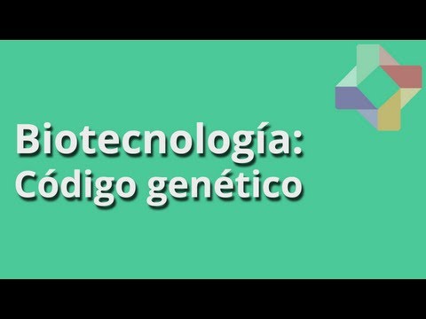 Vídeo: Diferencia Entre Codon Y Anticodon