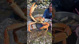 Amazing River Fishing &amp; Crab Catching | Village Life Fishing Adventure#youtubeshorts #youtubetrendin