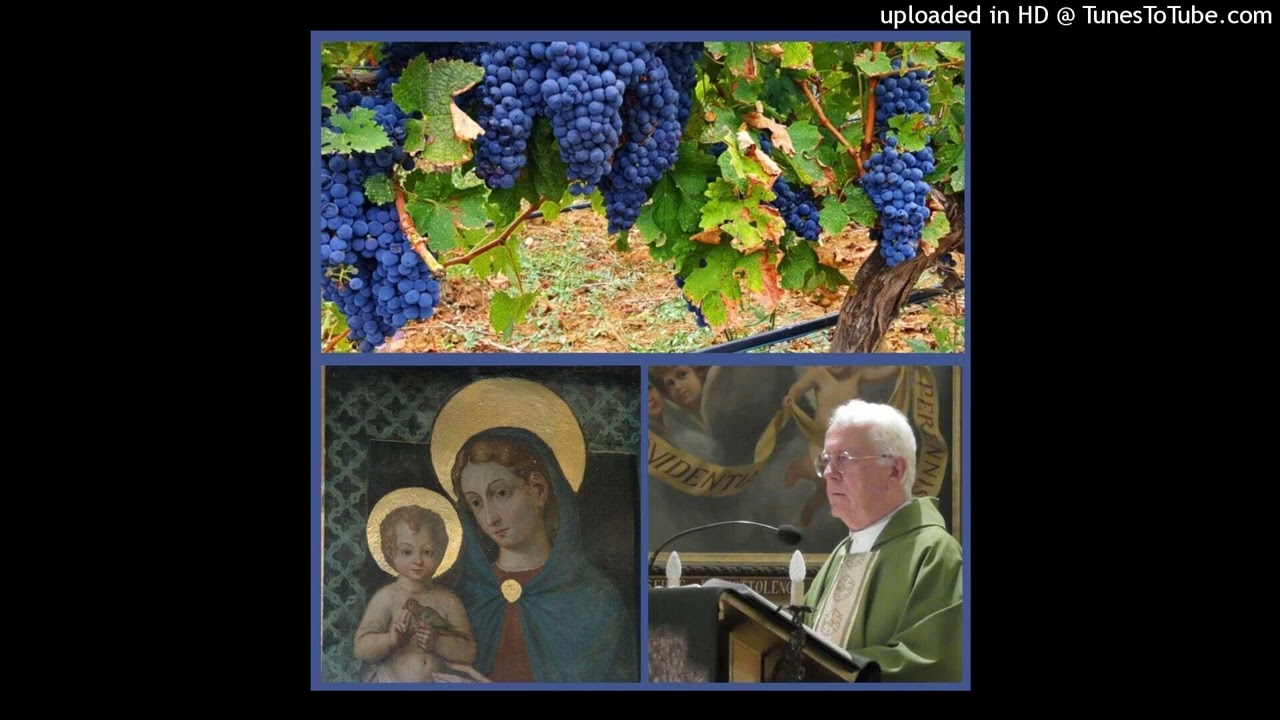 4 ottobre 2026 - 27a Domenica del T.O. anno A - Omelia di don Elio Mo