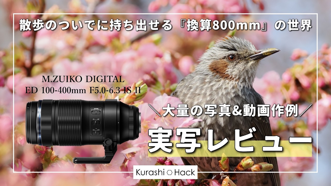 This lens got me hooked on bird photography. [OM SYSTEM M.ZUIKO
