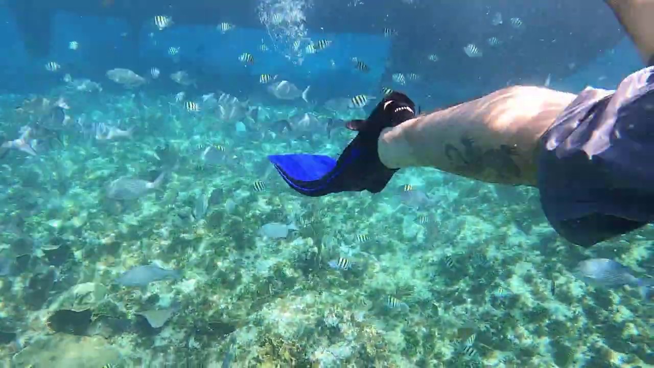 Catamaran Tour Snorkeling at Varadero, Cuba 2 YouTube