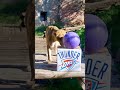 took a visit to the Sacramento Zoo for the king and queen of the animal kingdom 🦁