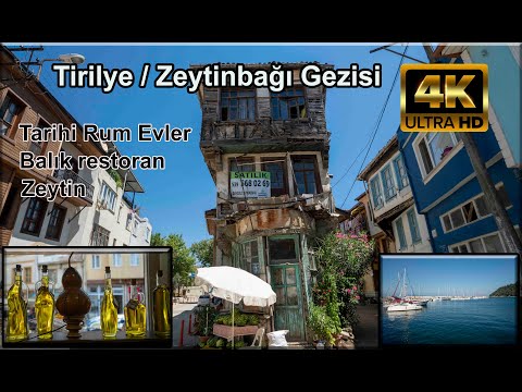 Tirilye / Zeytinbağı Gezisi (Tarihi Rum Evler, Balık restoran, zeytin.) Mudanya Bursa . 4K Ultra HD