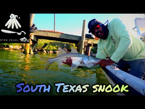 Vídeo: Pesca de Snook al sud de Texas