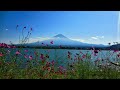 ~   旅姿三人男   ~       美空ひばり