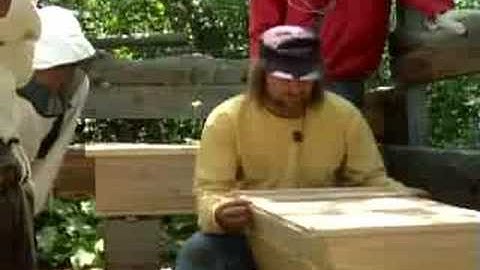 Top Bar Hive Managment