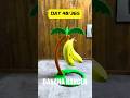 Keep Bananas Fresh Longer! (3D Printed Hack), Useful Kitchen prints