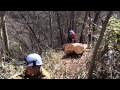 Forestry workers in japan miyagi 宮城県 林業