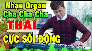 HÃY CHO TÔI - Đàn Organ Trực Tiếp Style CHA CHA CHA THÁI Nghe Cực Sôi Động - Nhạc Test Loa