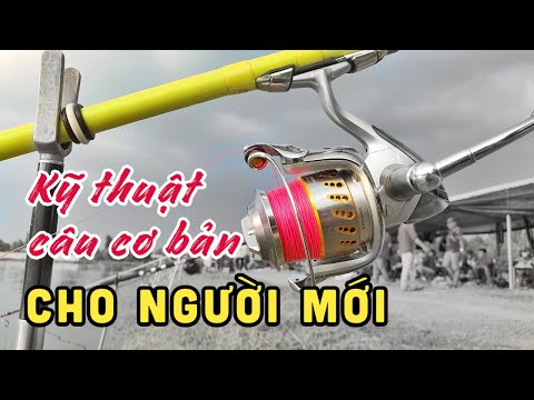 Video: Câu Cá Chuyên Nghiệp Là Gì