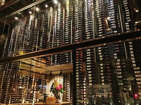 Wine Angels Cibo Bar Miami