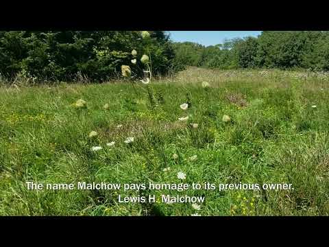 Malchow Mounds