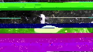 How does a damaged video look like? [HEADPHONES WARNING]