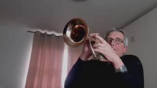 Killing Me Softly With His Song