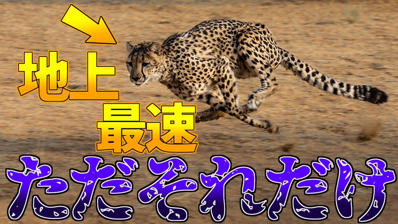 胃がんになった人の今後の見通しはどうなりますか?