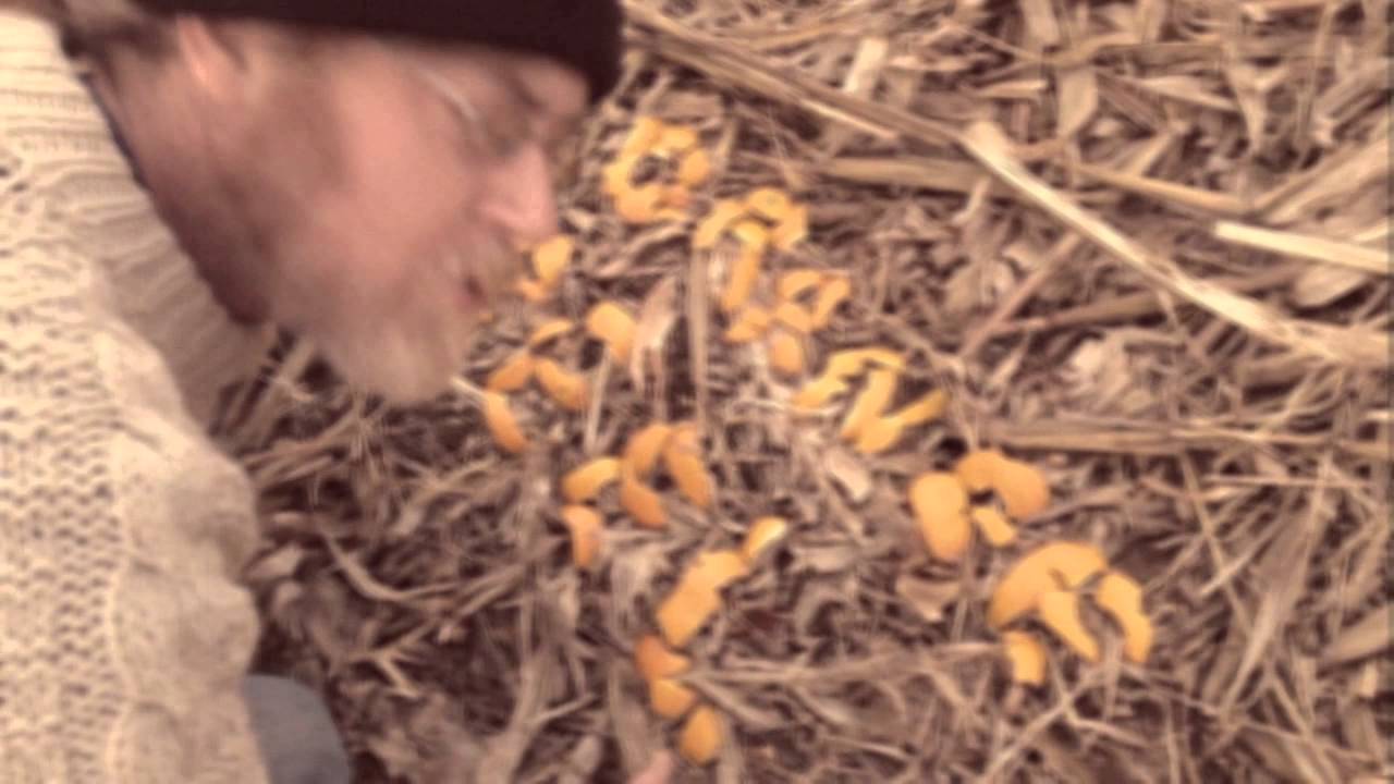 promo-railroad-earth-s-2013-new-year-s-eve-run-the-orange-peel