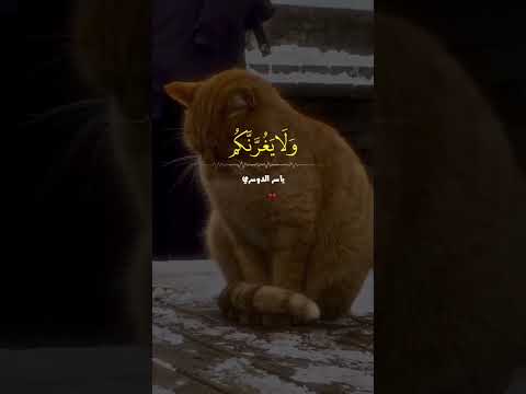 ارح قلبك اجر لي ولك ياسر الدوسري القرآن الكريم   فريق المميزون