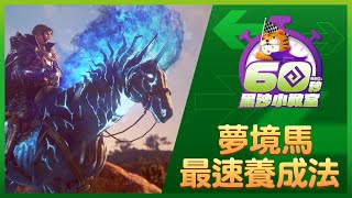 夢境馬最速養成法🦄挑戰直升夢境馬｜自選幻想馬｜60秒黑沙小教室📕