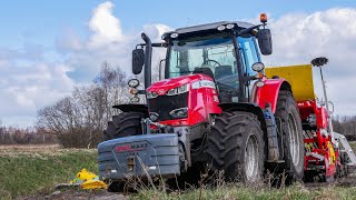 Oporowy siew trawy na popiołach 2023 ★ Massey z Ekwadoru?★ MF 7715S & JCB ★ Gr Toruńczak