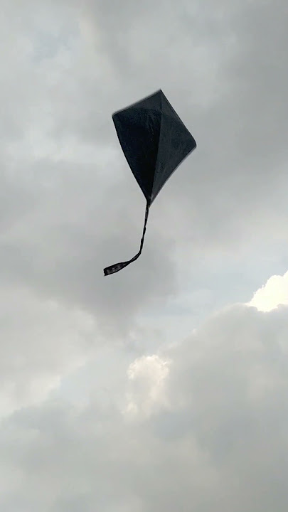 Sudah siap bertarung layangan 110cm malah angin melehoy!! KITE FIGHTER