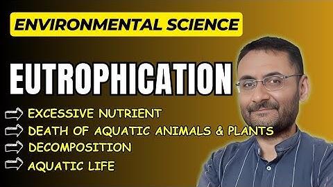 Eutrophication | Environmental science | Aquatic life in danger | EVS | Ecology