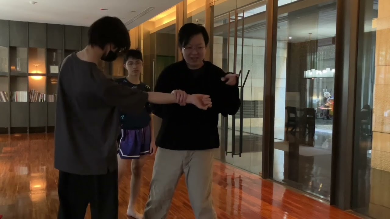 武當易宗門擒拿散手 Traditional Martial Arts Qin Na Techniques