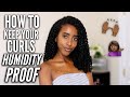 HOW TO KEEP YOUR NATURAL CURLY HAIR HUMIDITY PROOF | Frizz Free Curls | Lydia Tefera