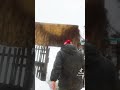 Сундук про девушек 