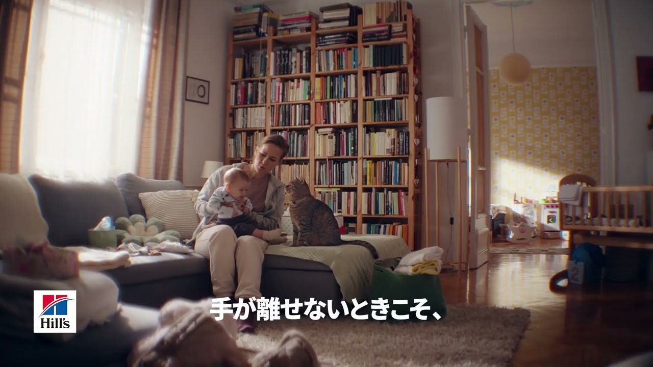 もっとできたらの思いに。6秒 赤ちゃん 猫