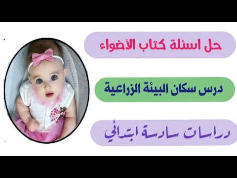 حل تدريبات كتاب الأضواء على الدرس الثاني "سكان البيئة الزراعية " | سادسة ابتدائي ترم اول 2023